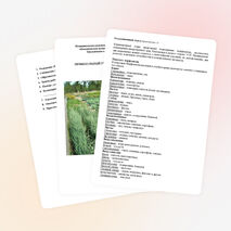 Паспорт пришкольного учебно-опытного участка