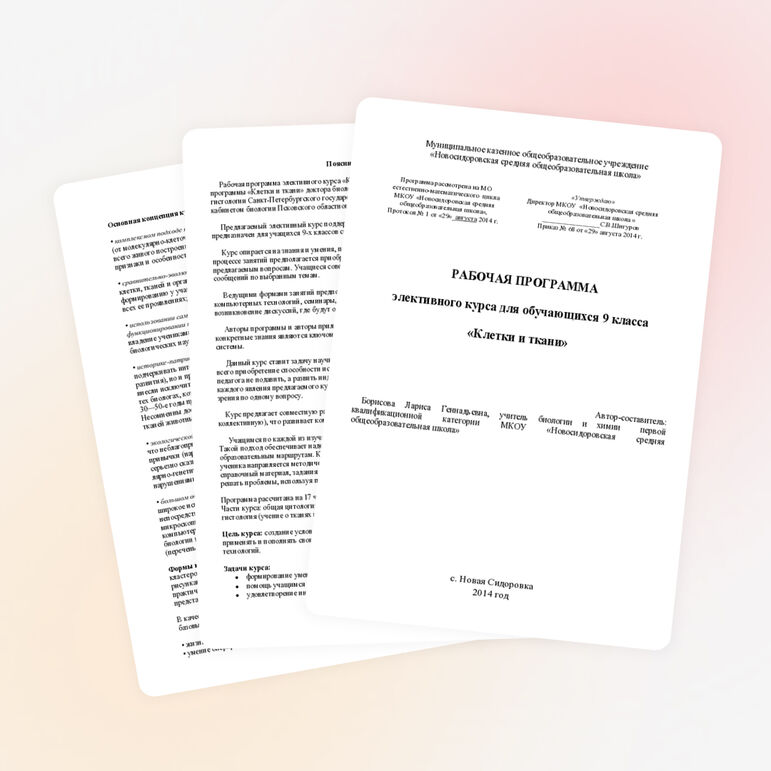 Программа элективного курса для обучающихся 9 класса