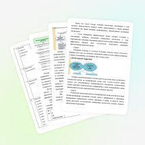 Построение системы контроля и оценки учебных достижений учащихся в соответствии ФГОС НОО