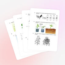 Тренировочные задания ГИА для обучающихся, освоивших общеобразовательные программы основного общего образования по биологии