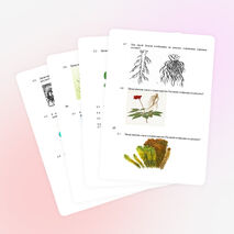 Тренировочные задания ГИА для обучающихся, освоивших общеобразовательные программы основного общего образования по биологии