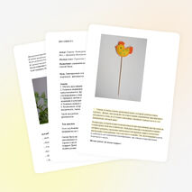 Мастер-класс: Украшение стола к Пасхе.