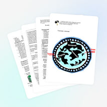 Урок по физике 8 класс-Тепловые явления