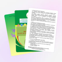 Программа отряда ЮИД "Патруль охраны безопасности"