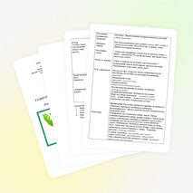 Разнообразие растительного мира Земли