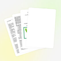 Разнообразие растительного мира Земли