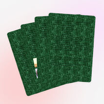 Краеведческий турнир "Старинный город мой прекрасен"