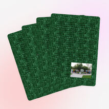 Краеведческий турнир "Старинный город мой прекрасен"