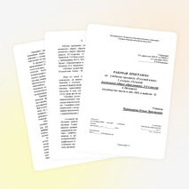 Рабочая программа по русскому языку 1 класс ПНШ