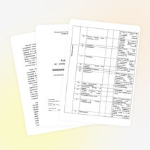 Рабочая программа по русскому языку 1 класс ПНШ