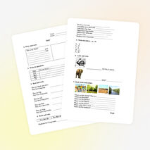 Тест по английскому языку (3 класс)