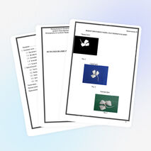 Творческий проект ИСПОЛЬЗОВАНИЕ РЫБЬИХ КОСТОЧЕК В ТВОРЧЕСТВЕ . ОГЛАВЛЕНИЕ