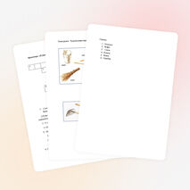 Кроссворд по теме "Ручной инвентарь" (5 класс)