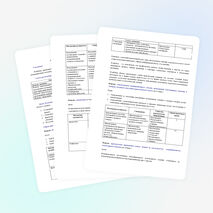 ПРОГРАММА Workshop (мастерской) «Снежинки из ворсинки»