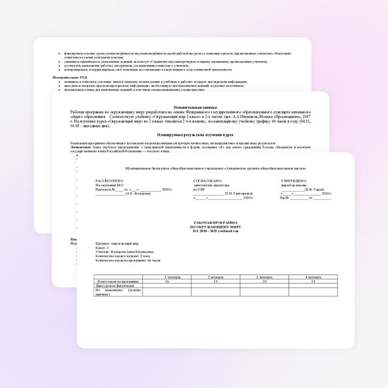 Рабочая программа по окружающему миру 2 класс