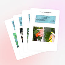 Вредители и болезни комнатных растений.