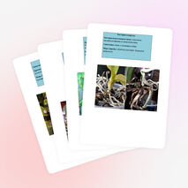 Вредители и болезни комнатных растений.