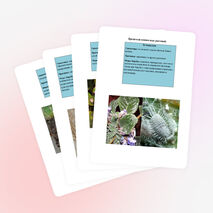 Вредители и болезни комнатных растений.