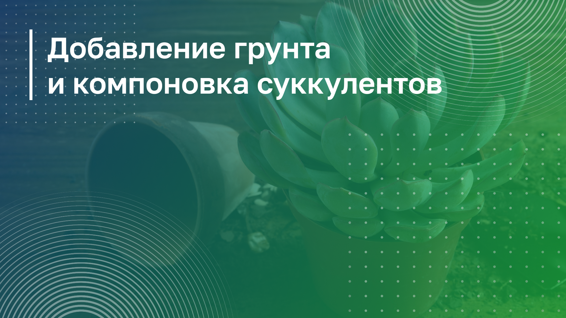 Обложка курса