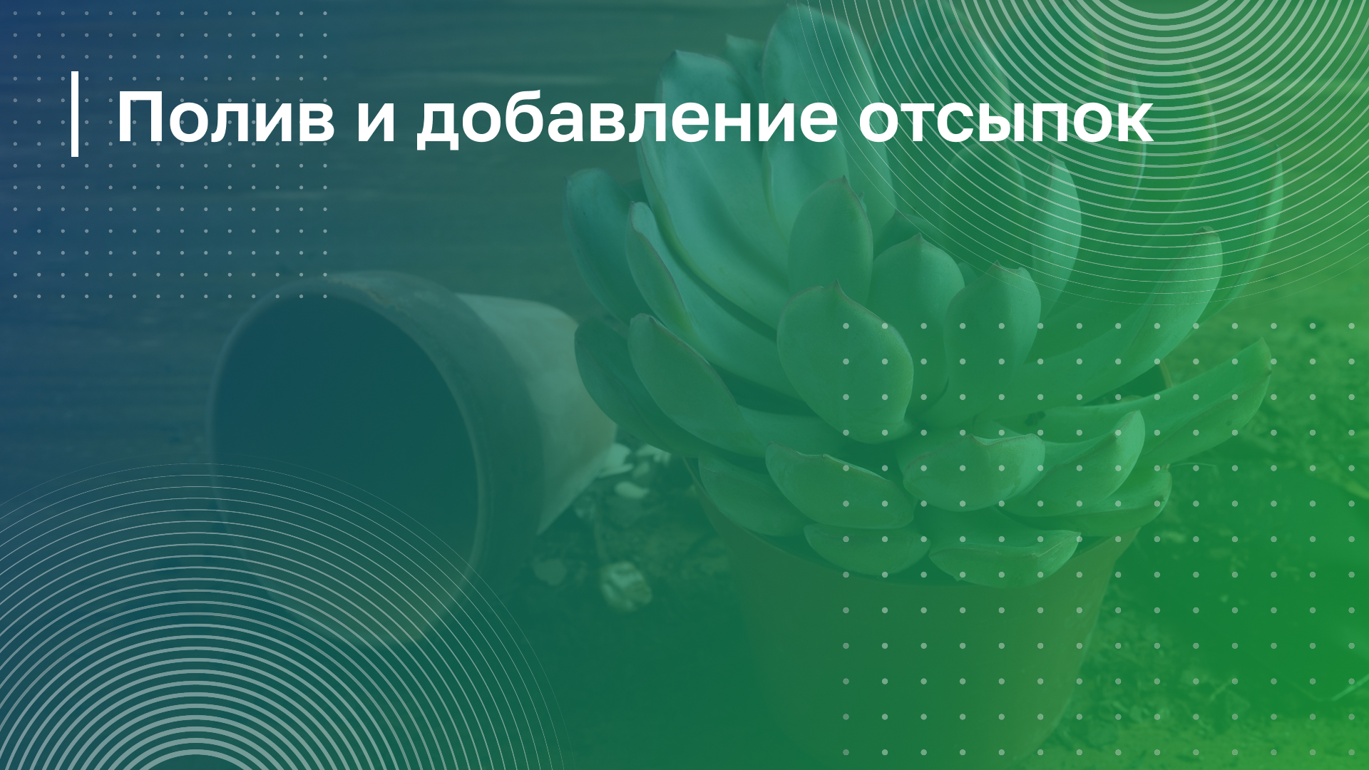 Обложка курса