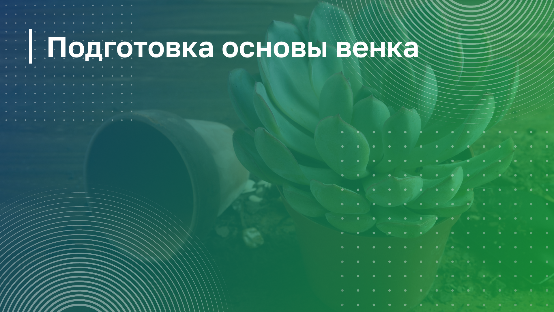 Обложка курса