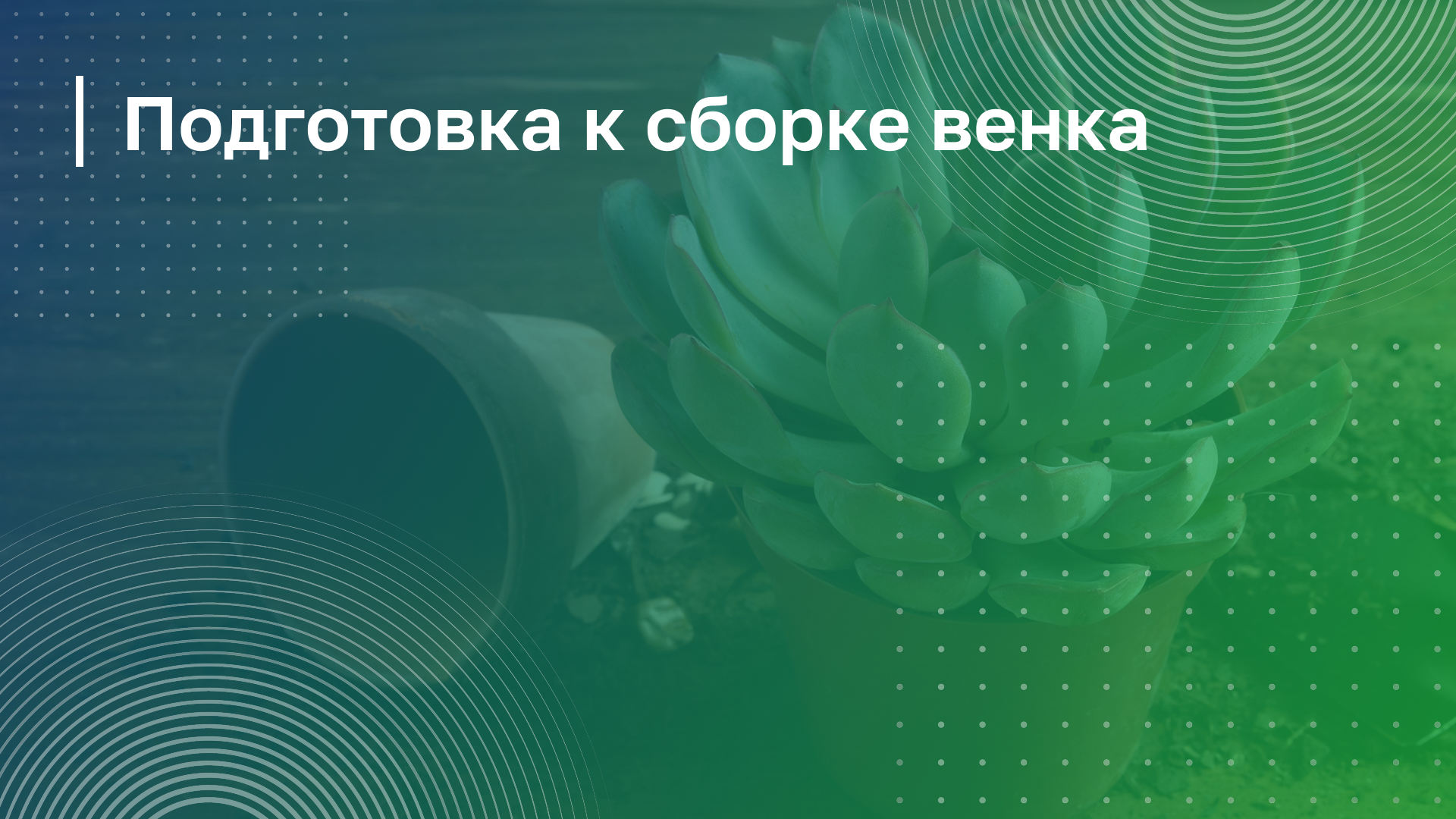 Обложка курса