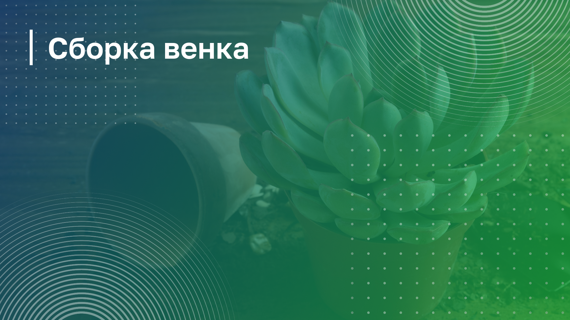 Обложка курса