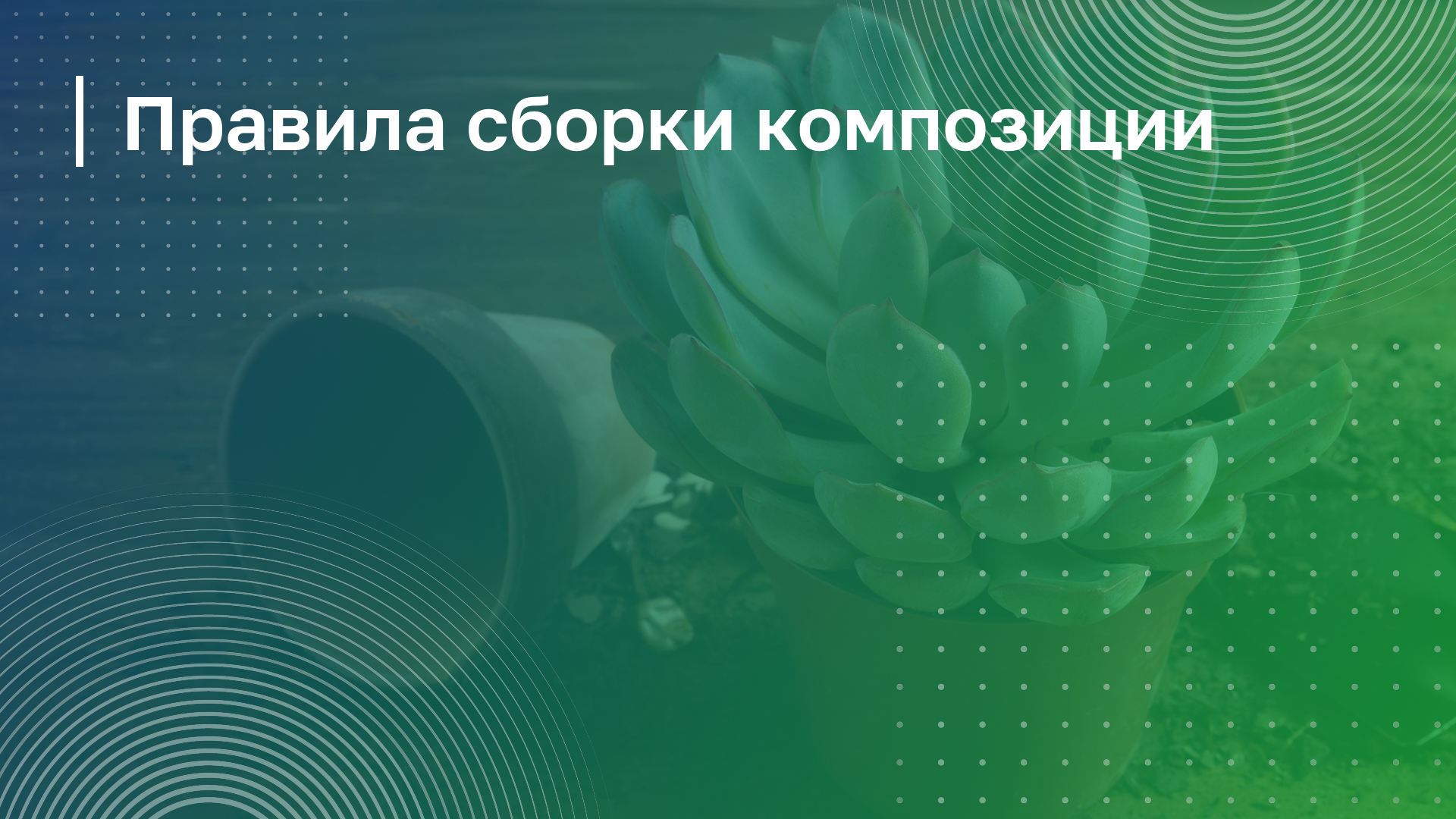 Обложка курса