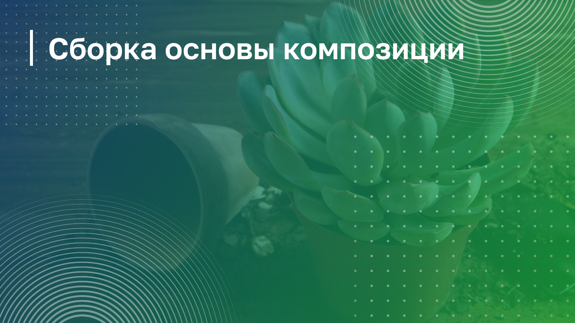 Обложка курса