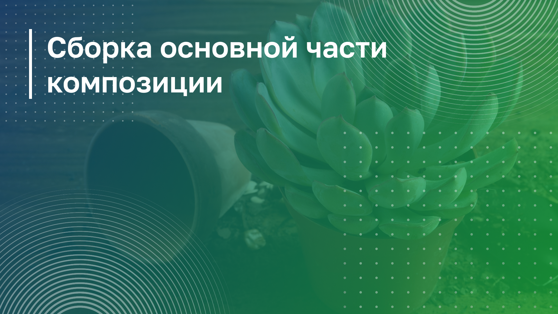 Обложка курса