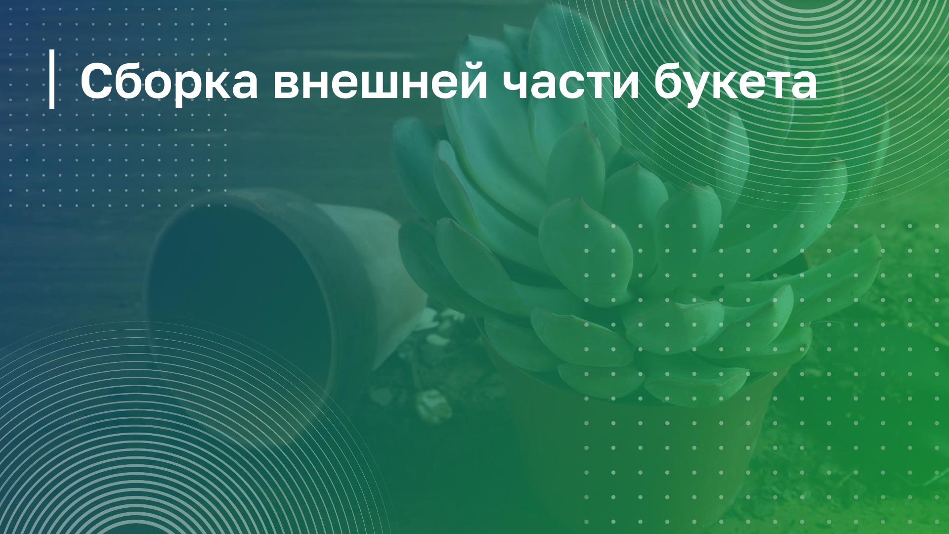 Обложка курса