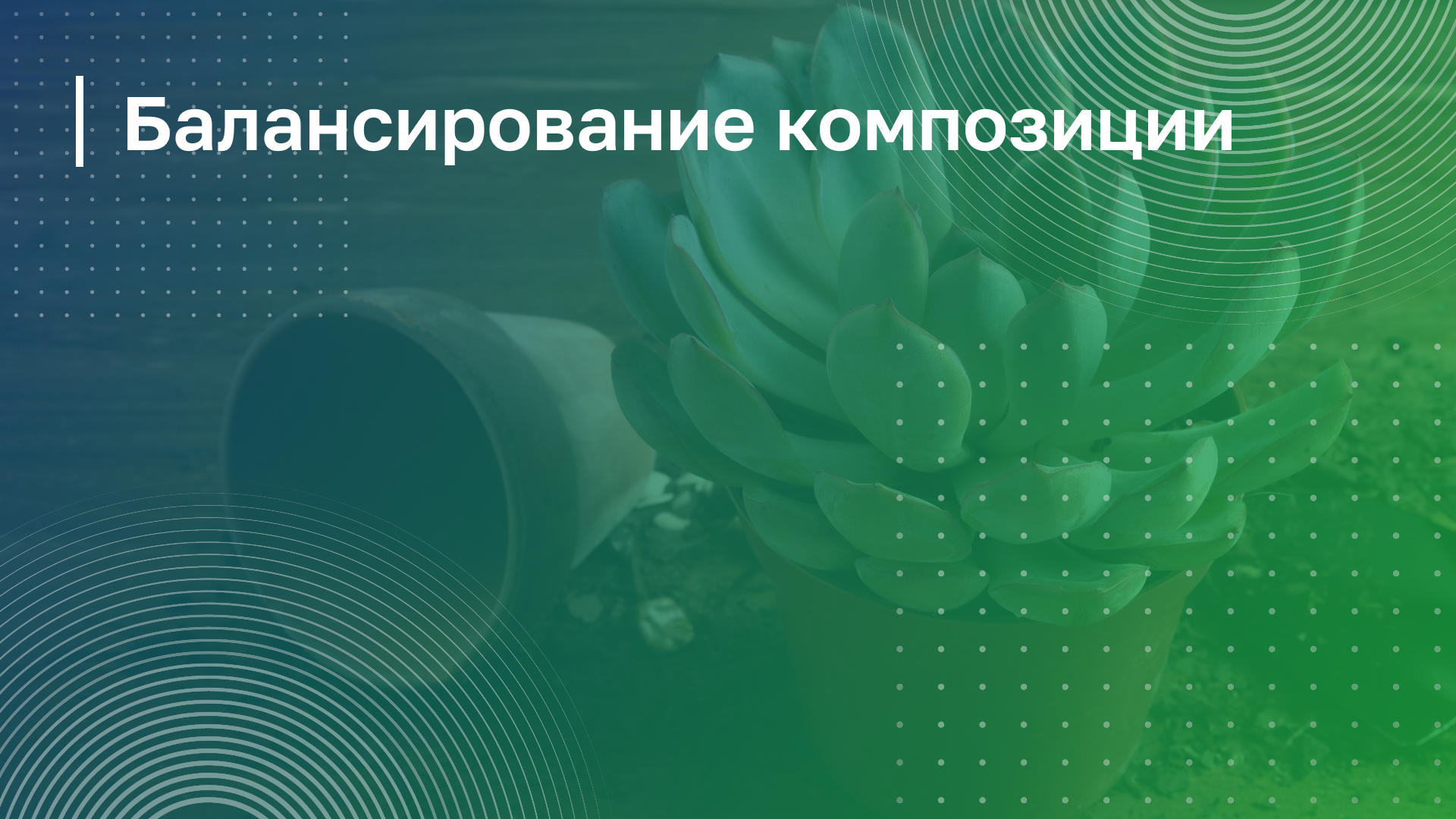 Обложка курса