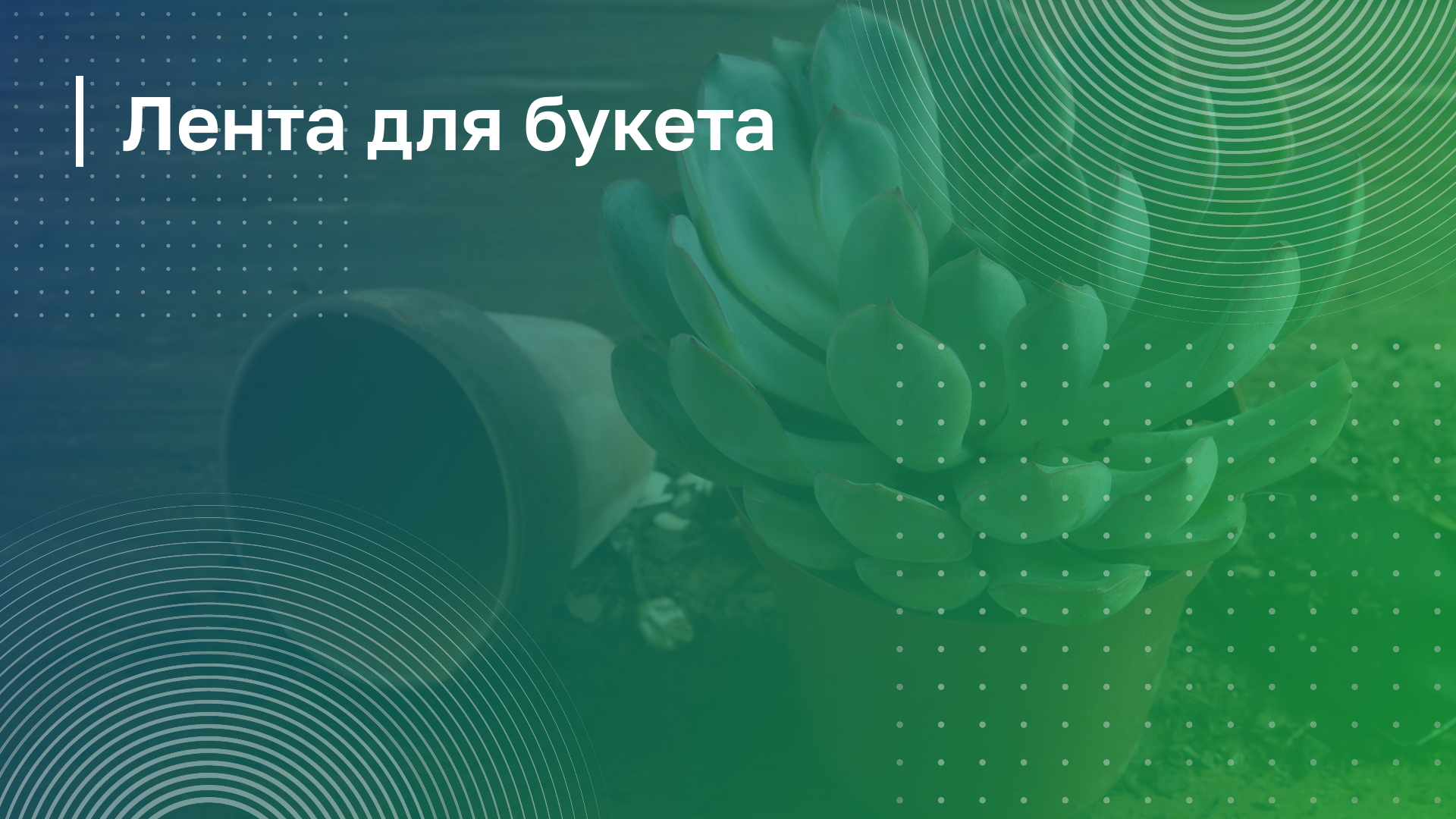 Обложка курса