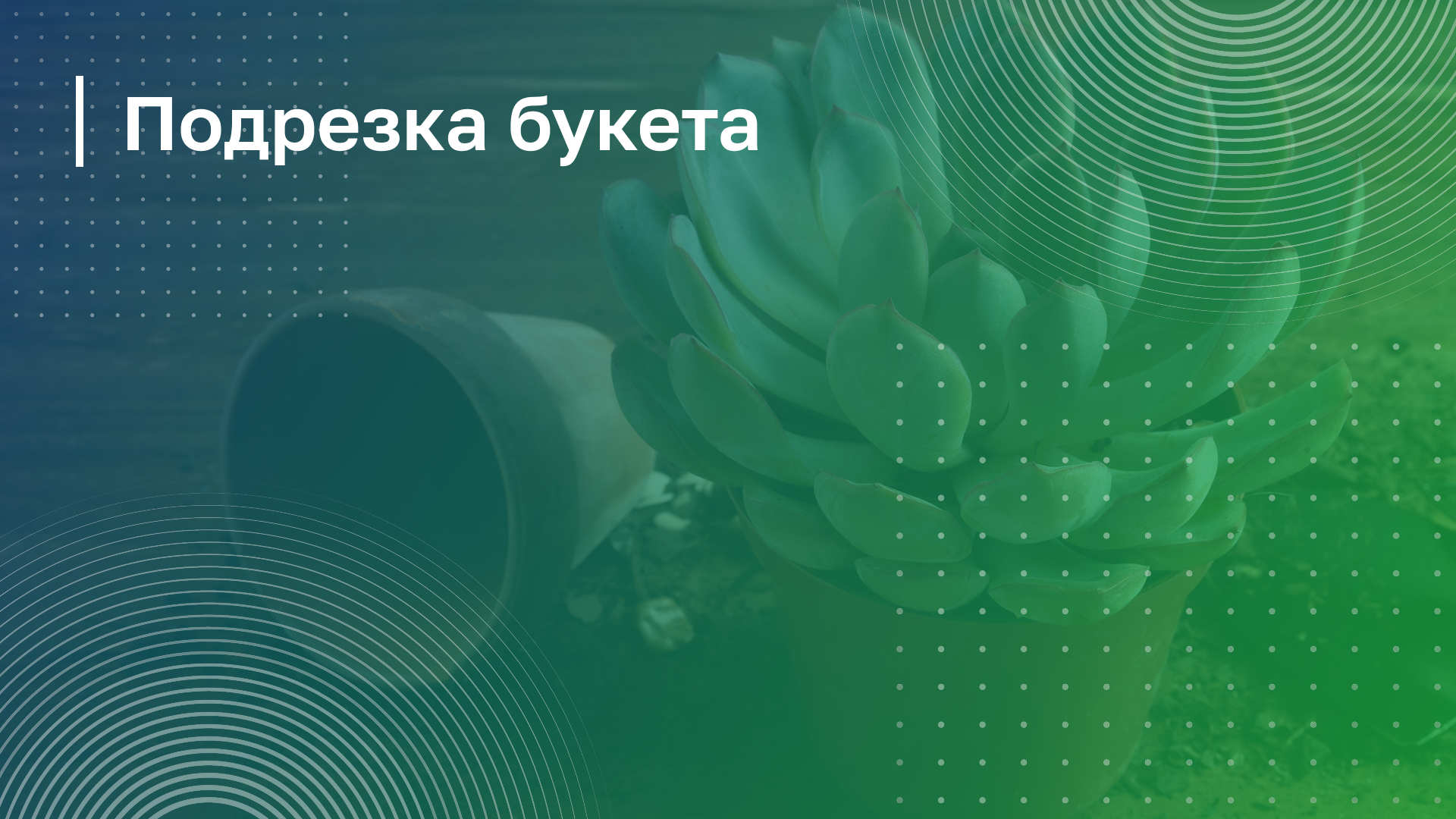 Обложка курса