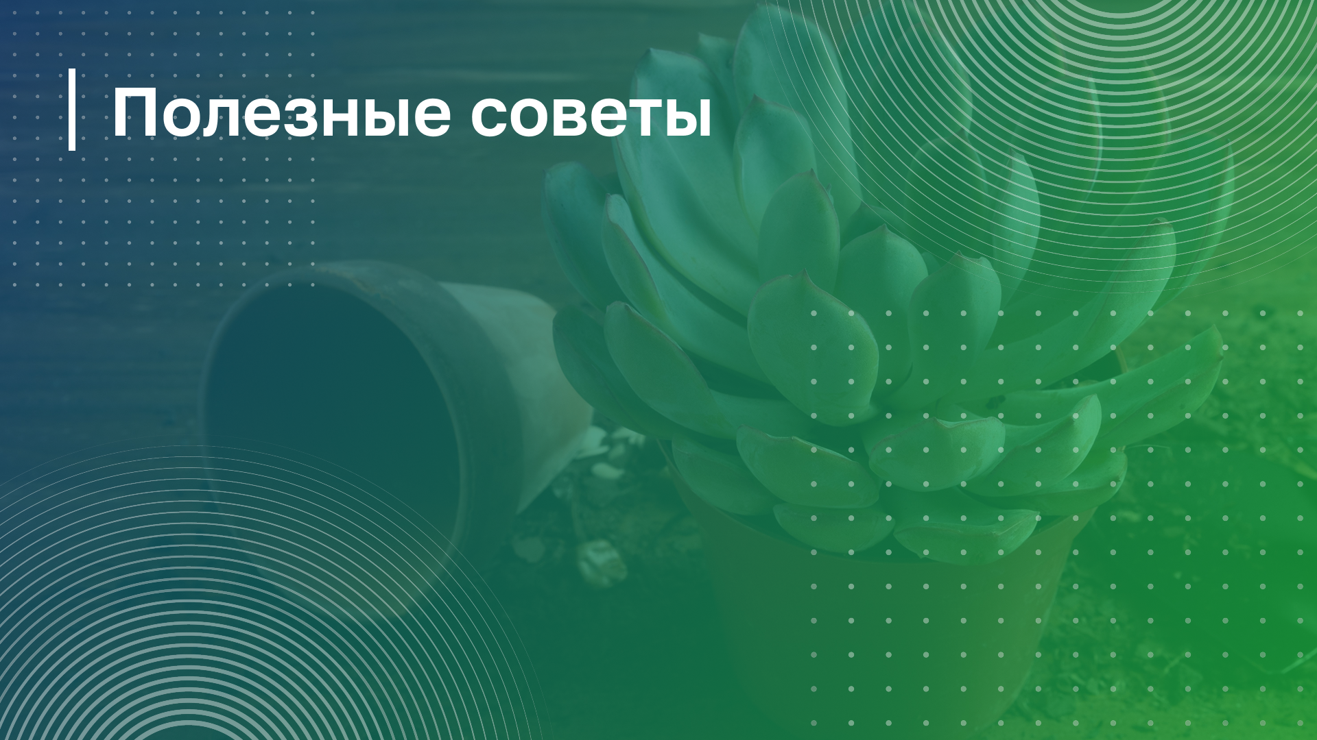 Обложка курса