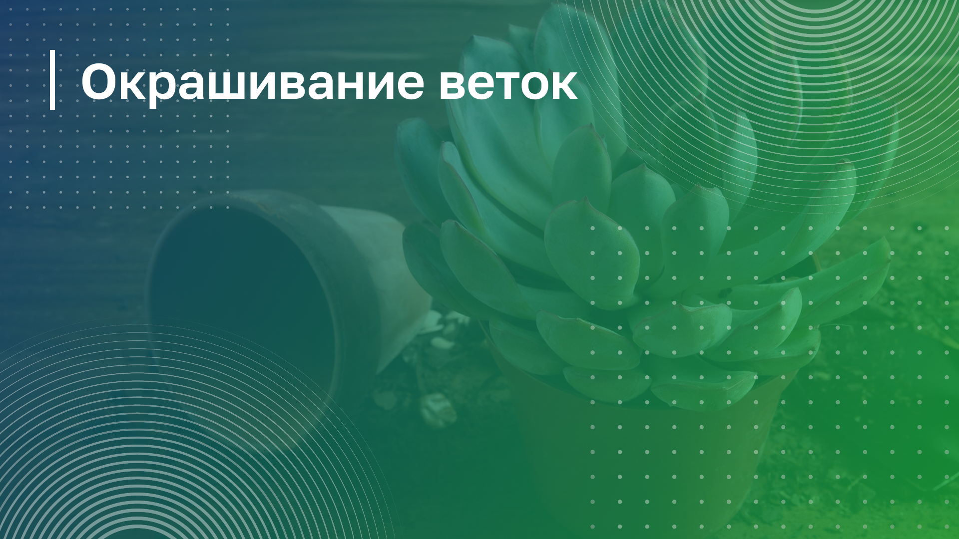 Обложка курса