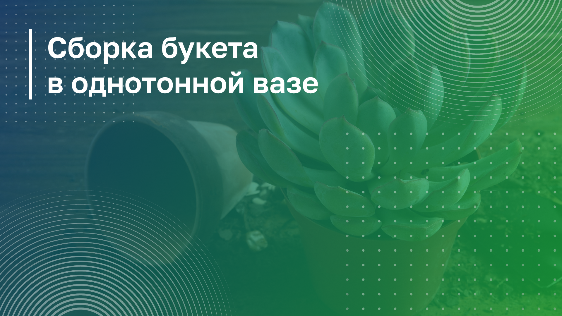 Обложка курса