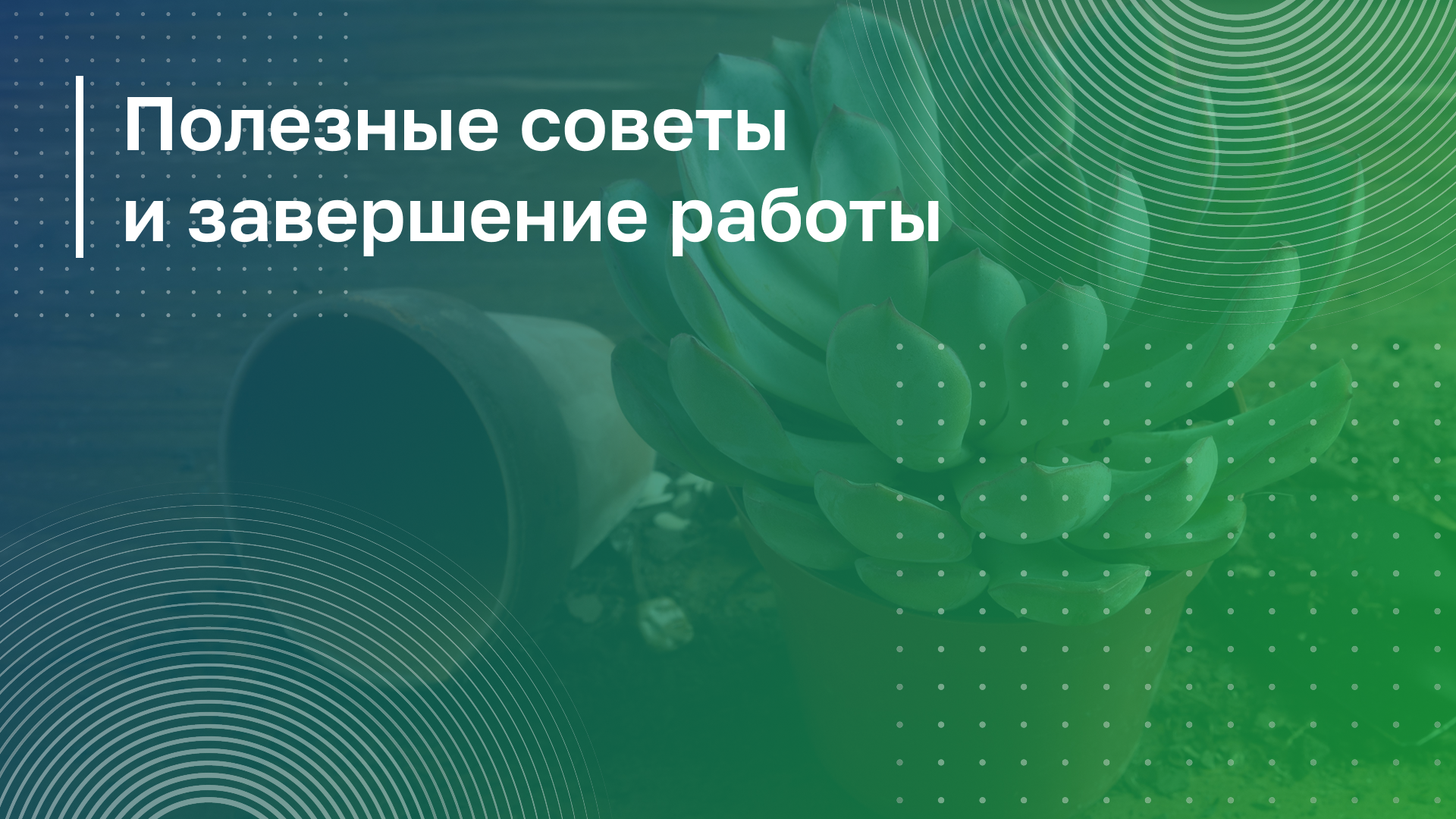 Обложка курса