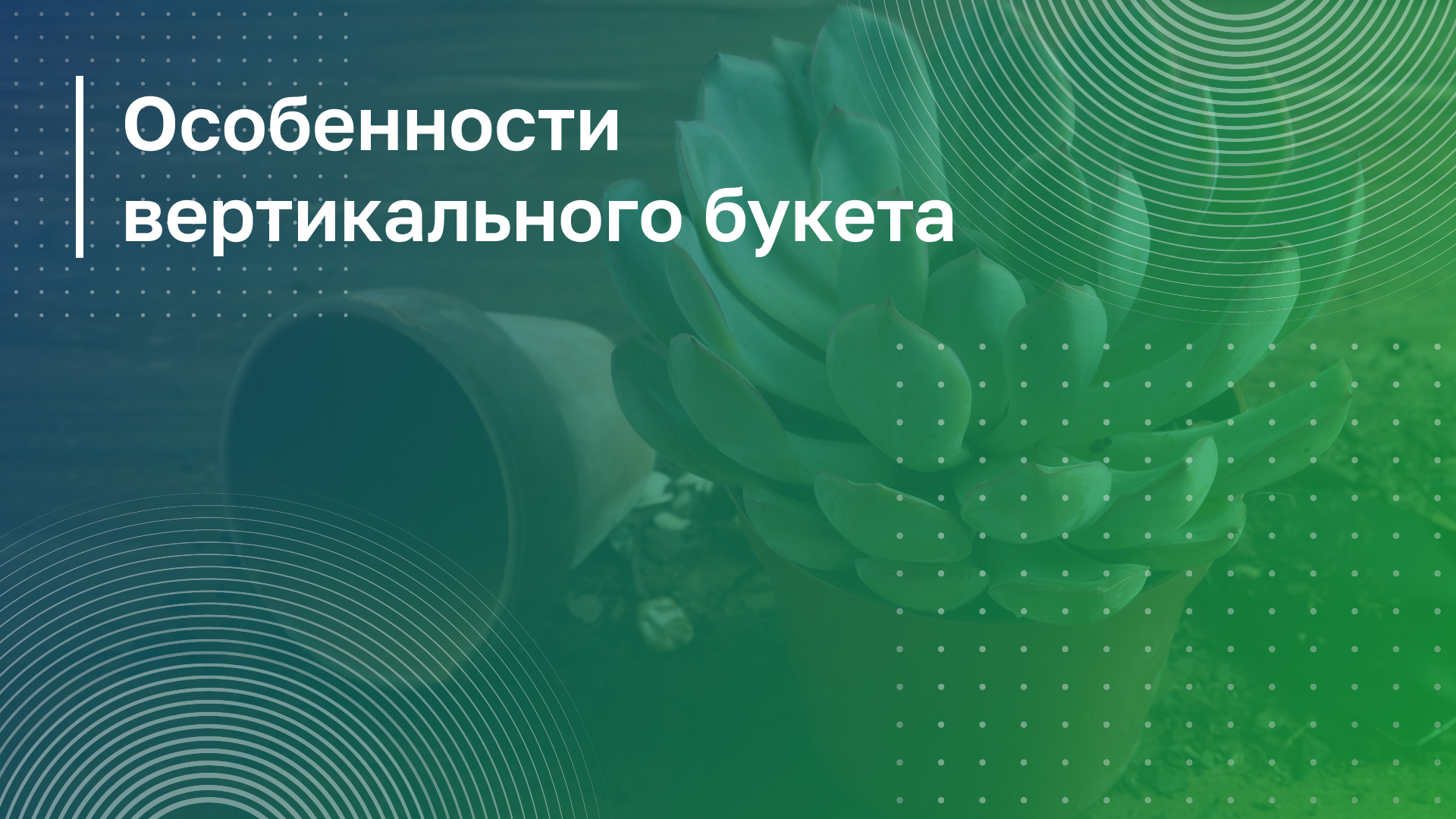 Обложка курса