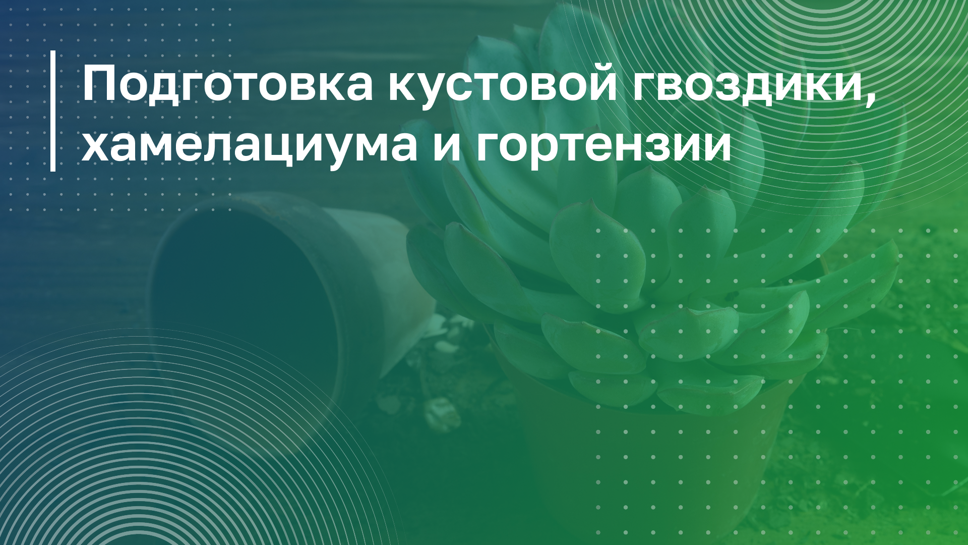 Обложка курса