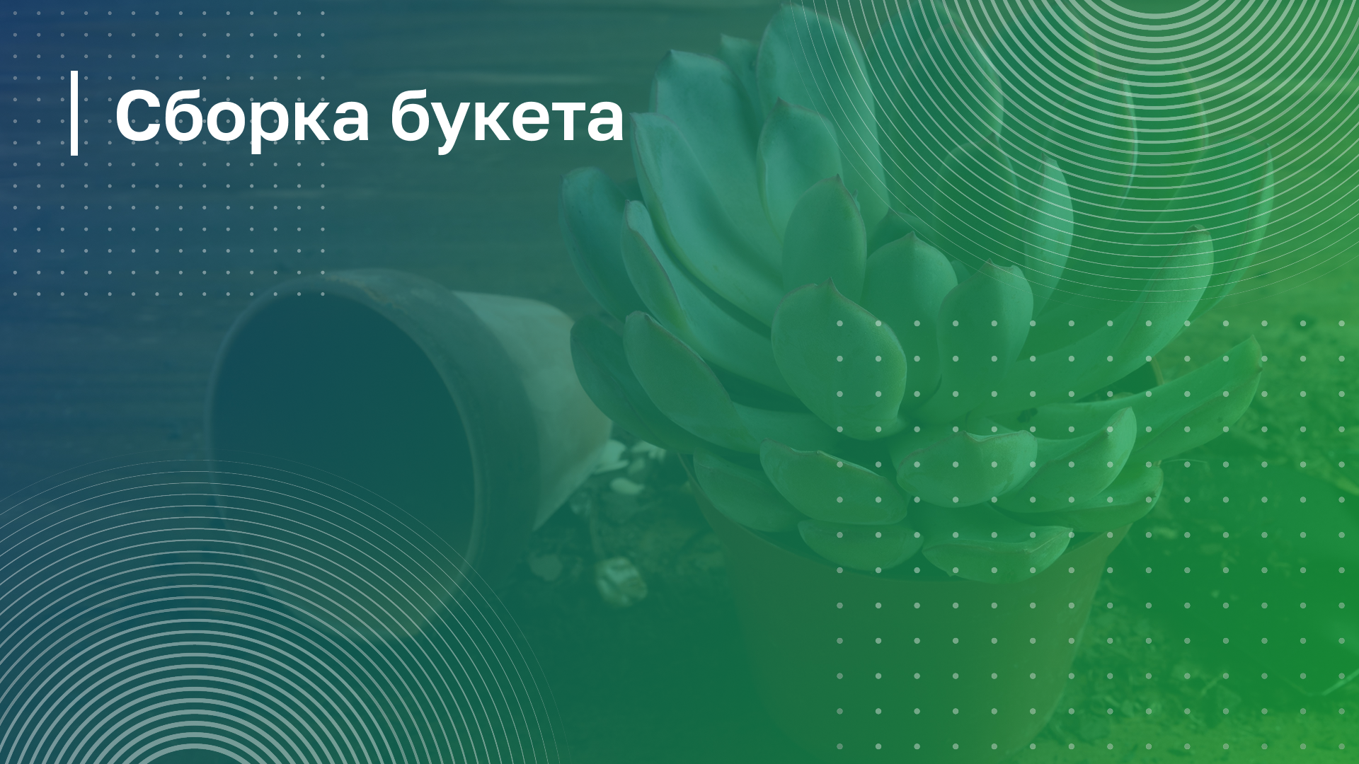 Обложка курса