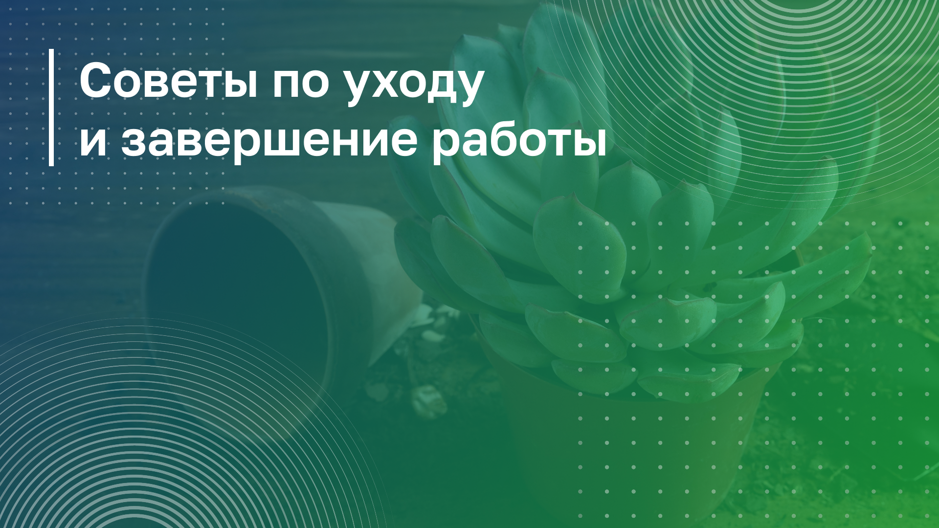 Обложка курса