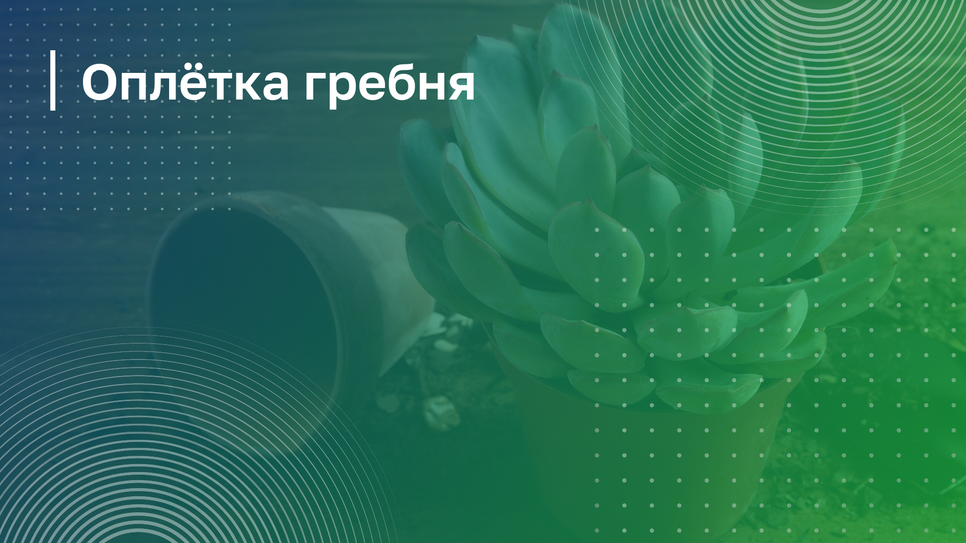 Обложка курса