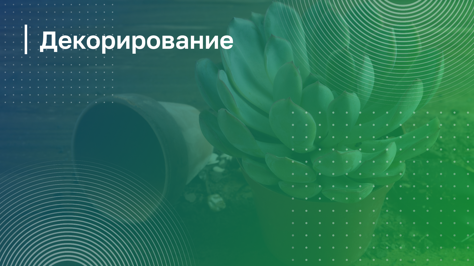 Обложка курса