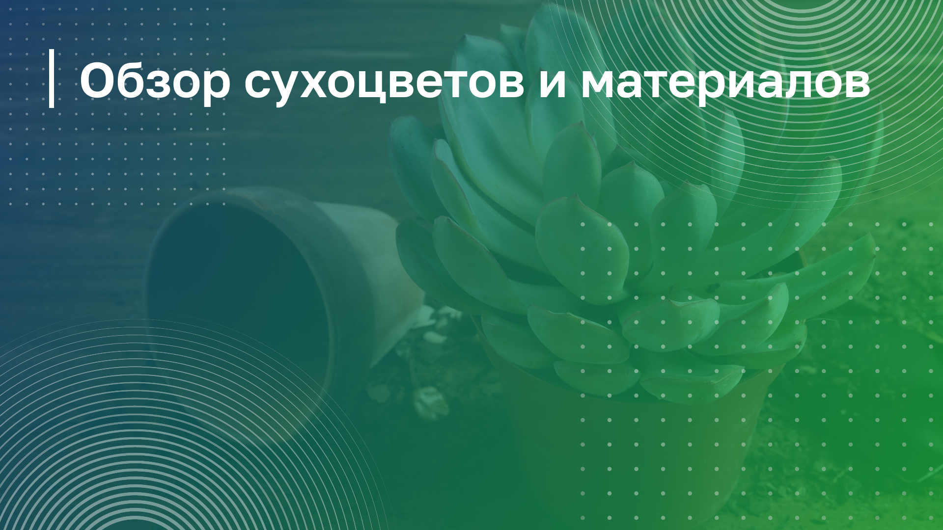 Обложка курса