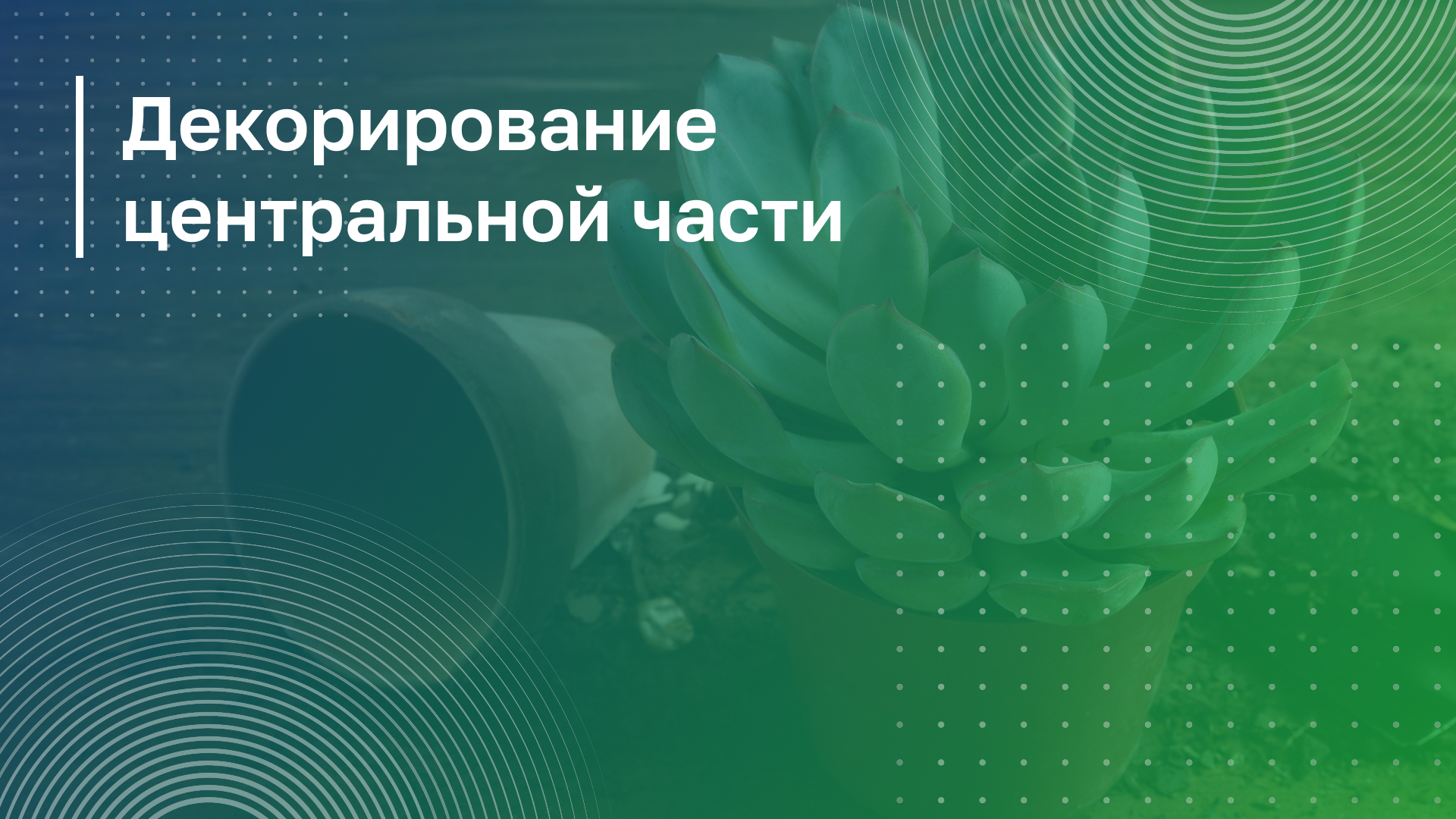 Обложка курса