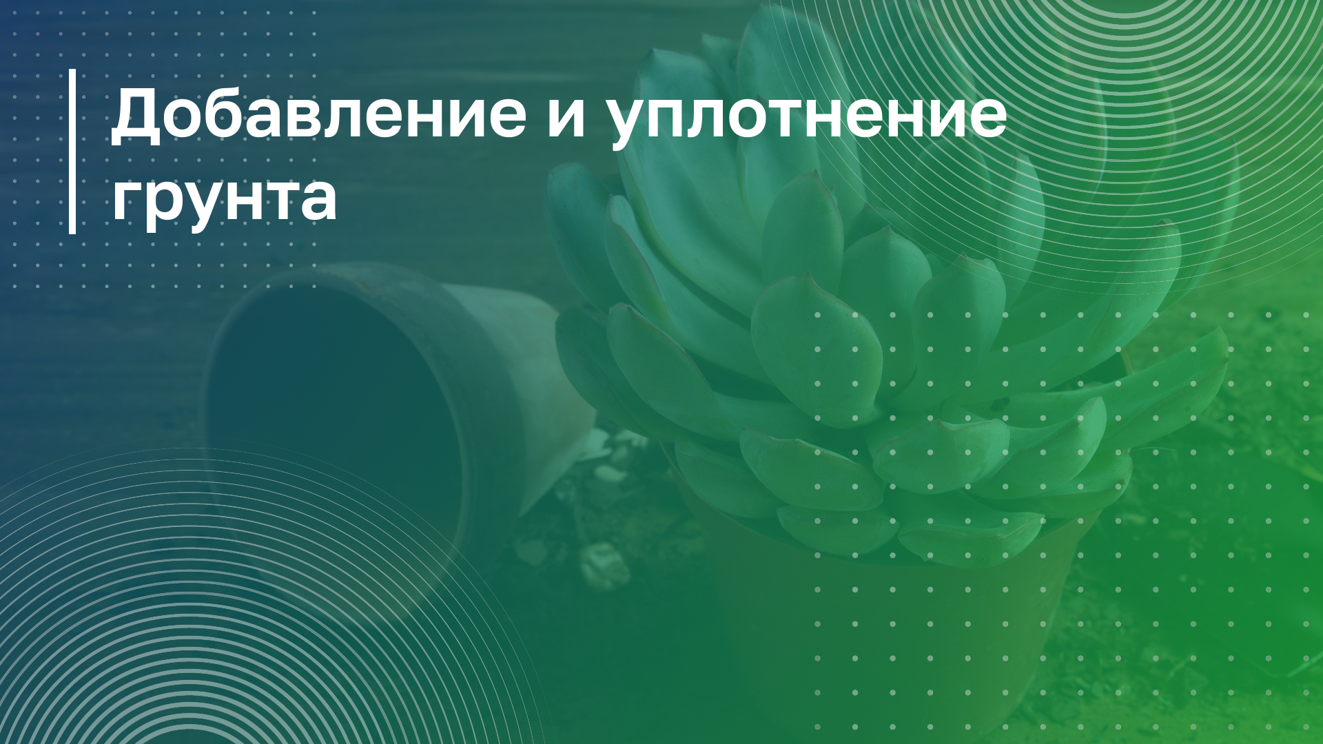 Обложка курса