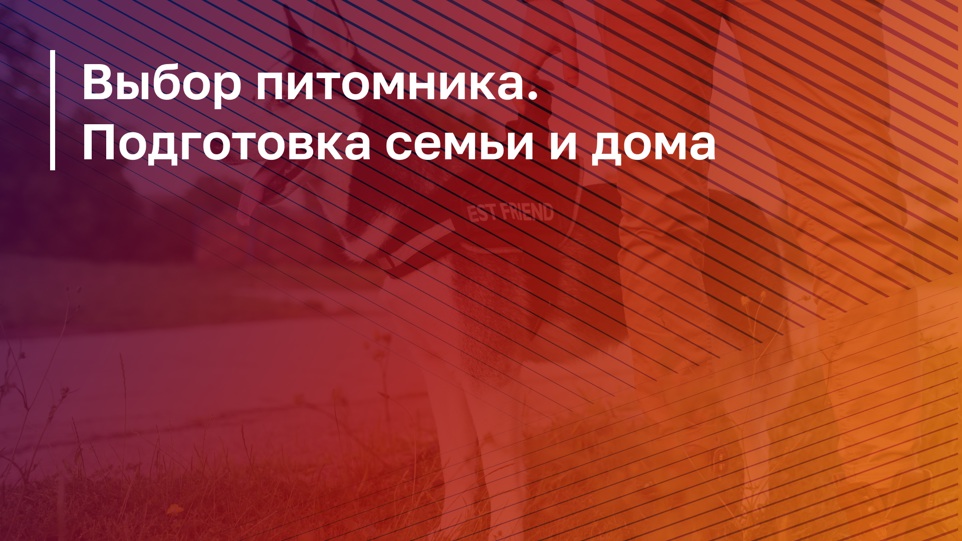 Обложка курса