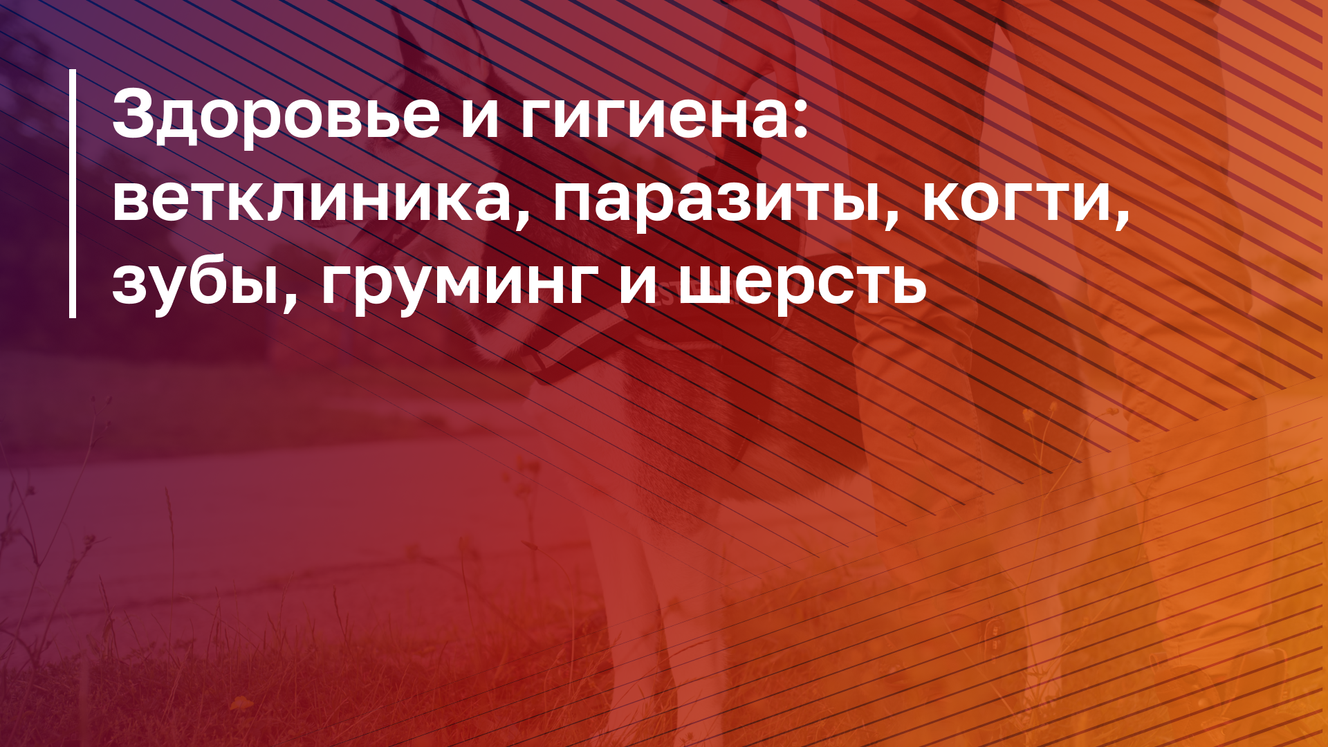 Обложка курса