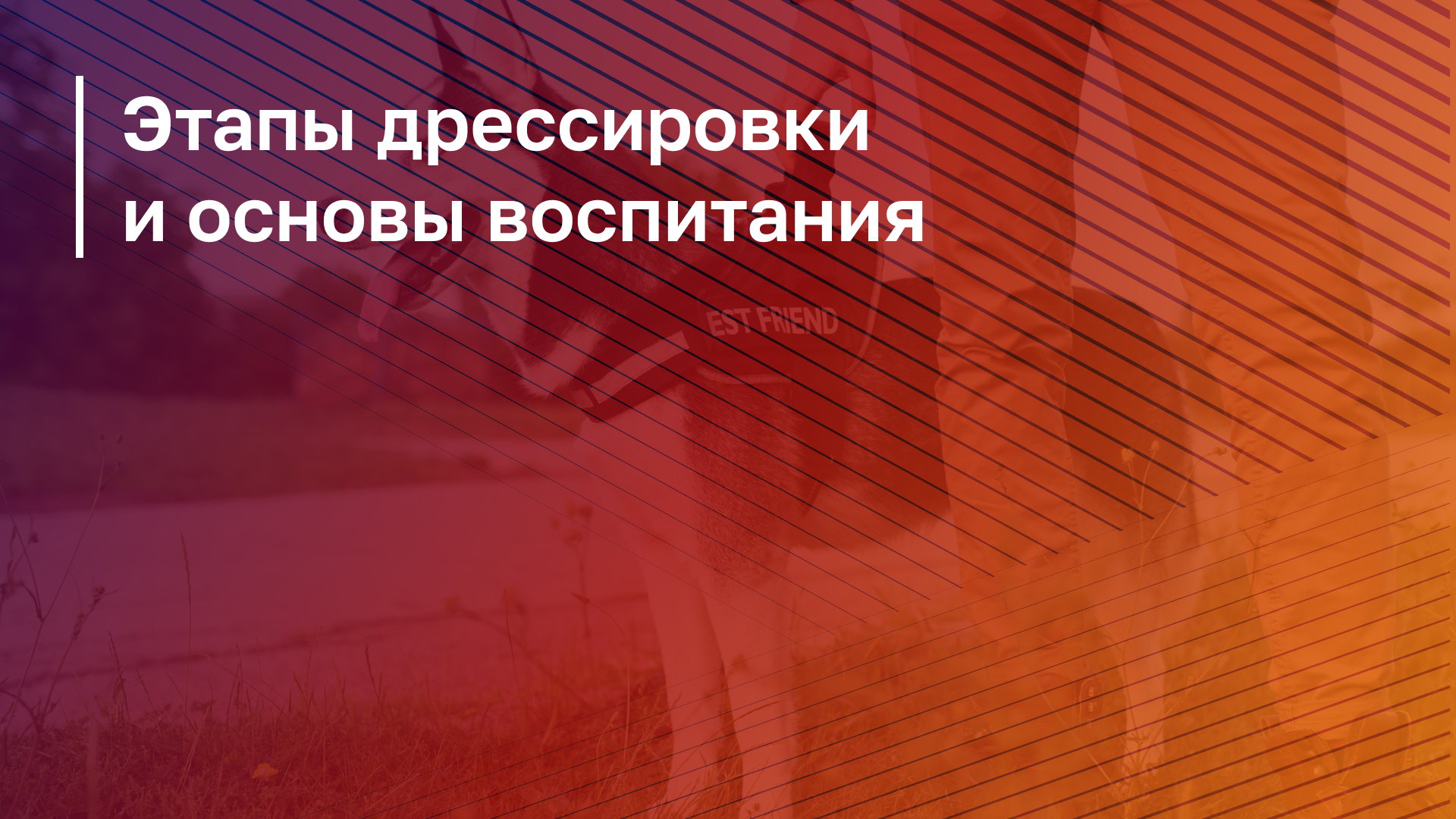 Обложка курса